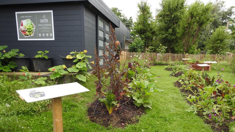 Un potager en permaculture chez La Mazerine