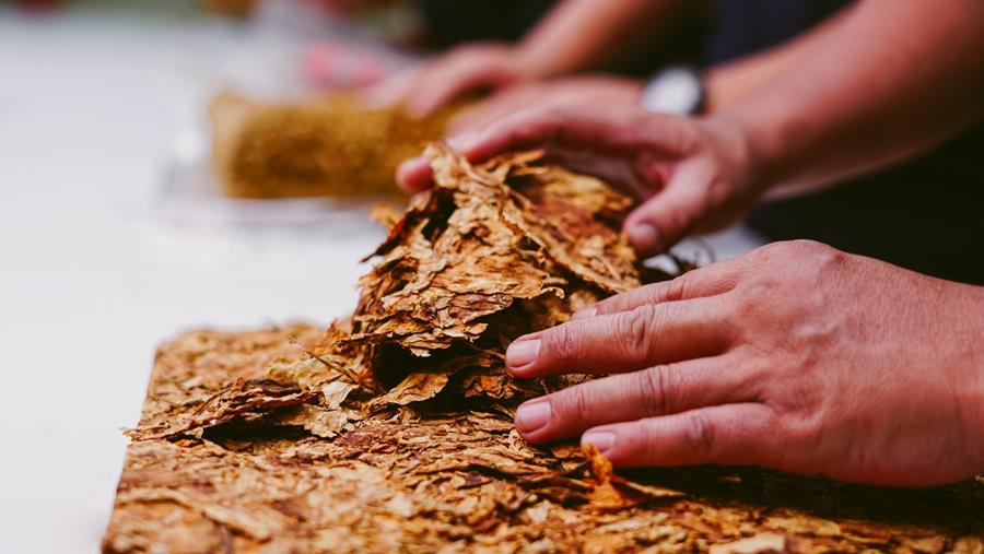 La Belgique, numéro deux de la contrebande et de la production illégale de tabac de contrefaçon