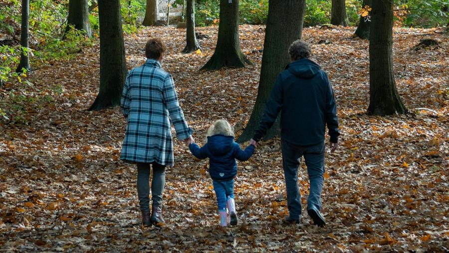 Baromètre Shoes septembre 2025