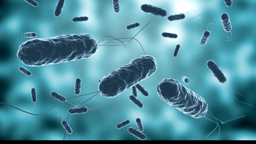 Cholera-epidemie teistert Congo