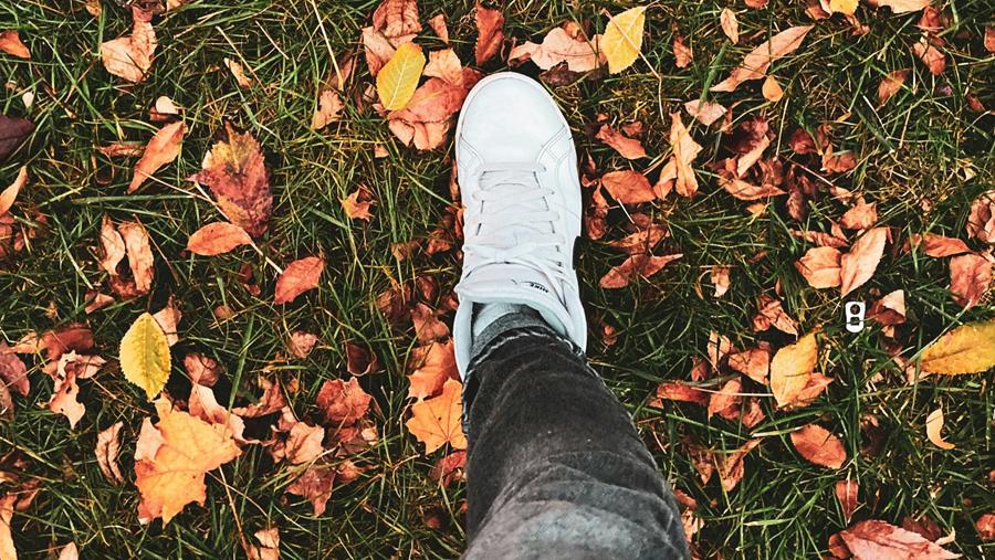 Baromètre Shoes octobre 2025